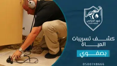 شركة كشف تسربات المياه بصفوي