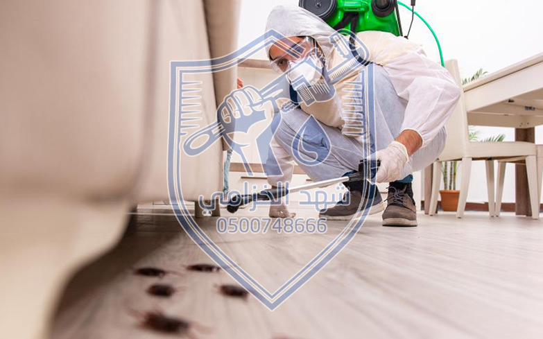 شركة مكافحة حشرات بالخبر